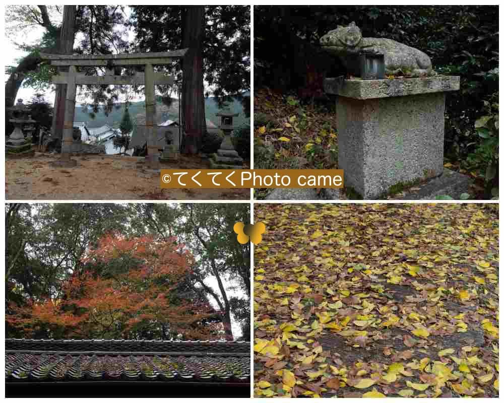 奈良県桜井市粟原の二つの物語(おおはら おうばら)_b0410026_11244828.jpg