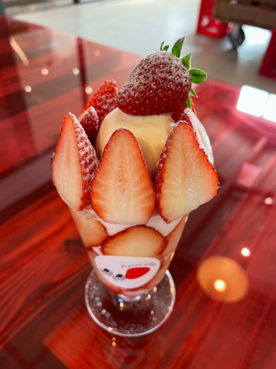 熊本 FLAVÉDO par LISETTE(フラベドパーリゼッタ)_d0316051_23130091.jpg