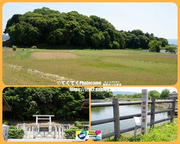 奈良県 桜井市箸墓古墳_b0410026_17002403.jpg