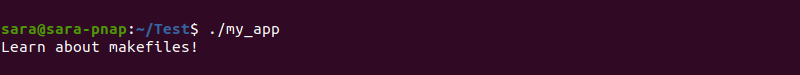 Executing my_app Terminal Output