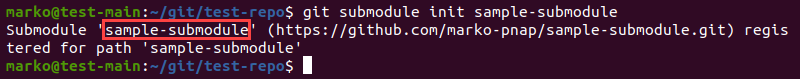 Initializing a specific submodule.