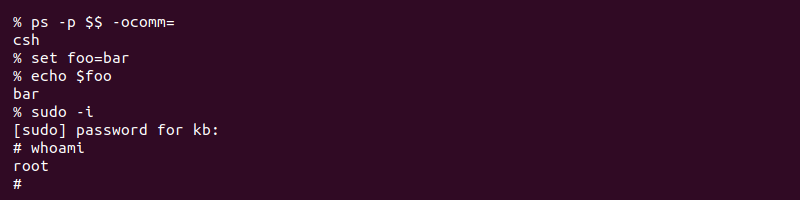 C shell csh example commands