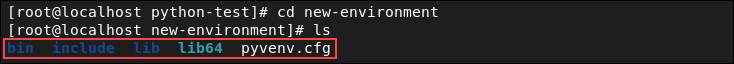 Listing files in a virtual environment.