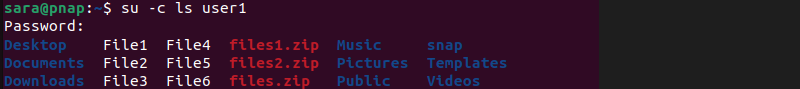 su -c ls user1 terminal output