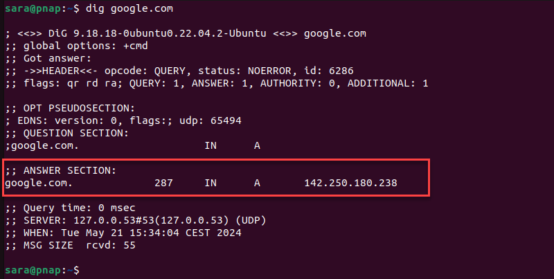 dig command terminal output answer section
