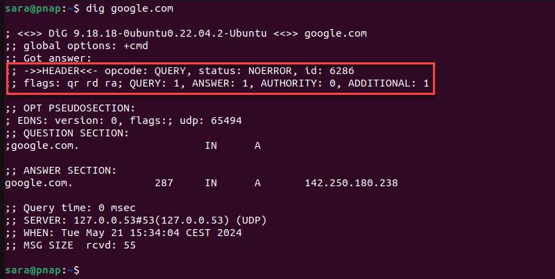 dig command terminal output showing header section