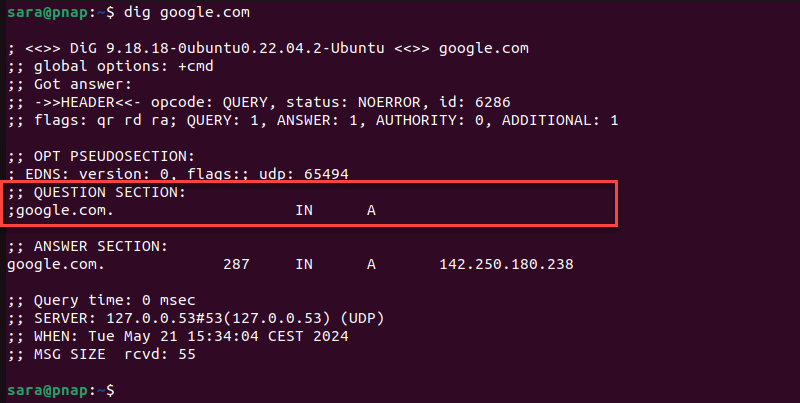 dig command terminal output showing question section