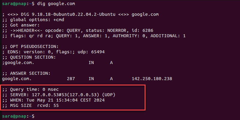 dig command terminal output showing statistics section