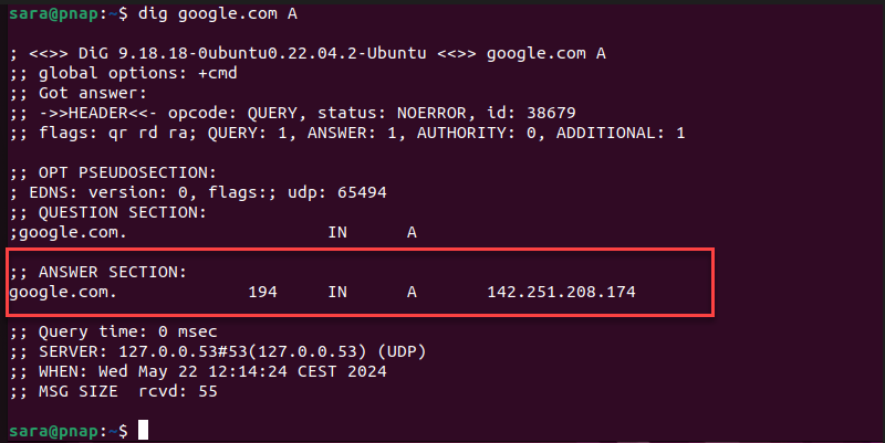 dig google.com A terminal output