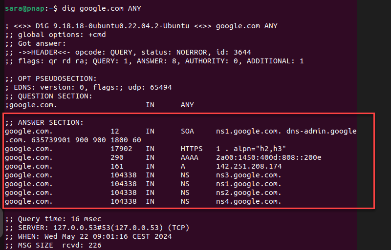 dig google.com ANY terminal output