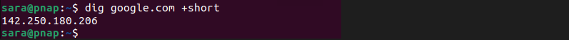 dig google.com +short terminal output