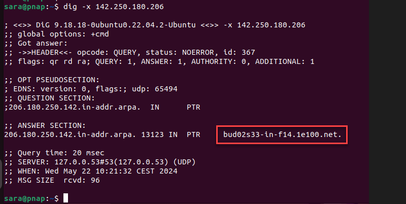 dig -x 142.250.180.206 terminal output