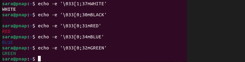 echo -e terminal output