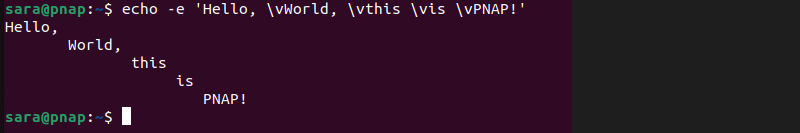 echo -e \v terminal output