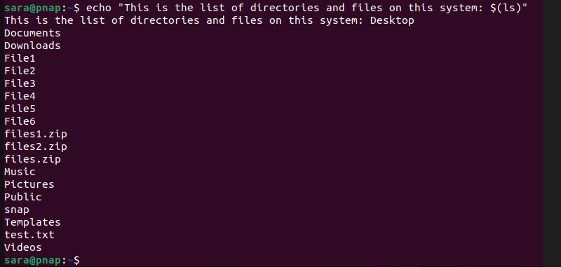 echo ls terminal output
