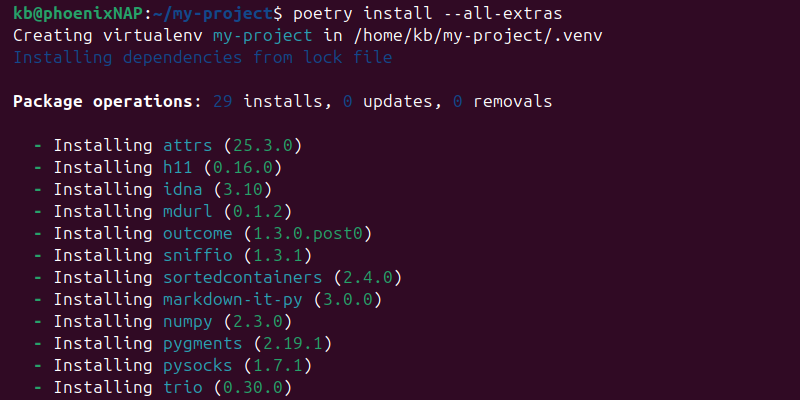 Installing all optional features with Poetry.