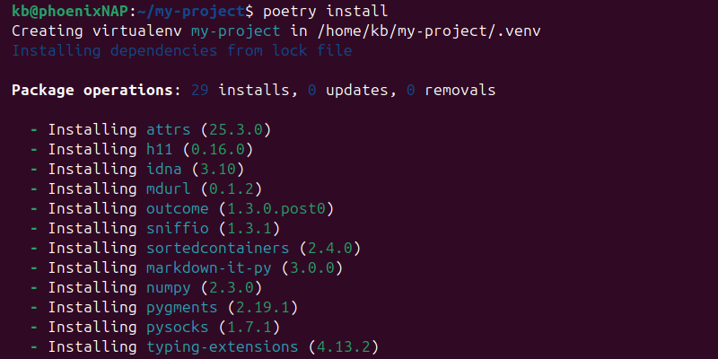 Installing dependencies and setting up Poetry virtual environment.