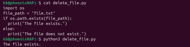 Check if a file exists output