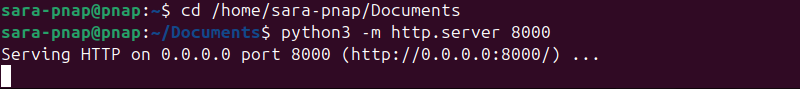 cd and python3 -m http.server 8000 terminal output