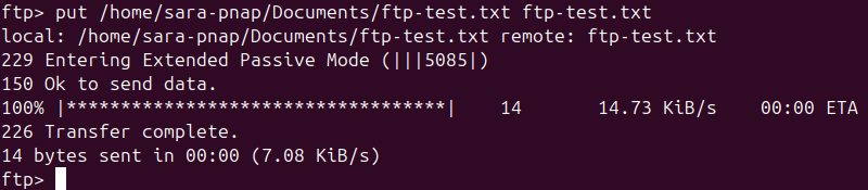 put /home/sara-pnap/Documents/ftp-test.txt ftp-test.txt terminal output