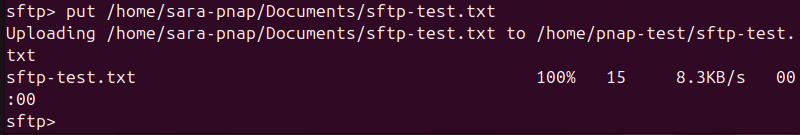 put /home/sara-pnap/Documents/sftp-test.txt terminal output