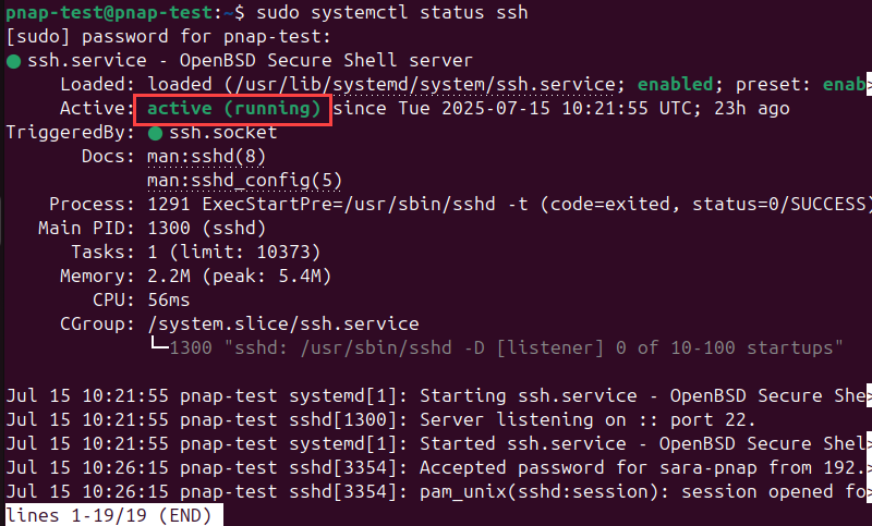 sudo systemctl status ssh terminal output