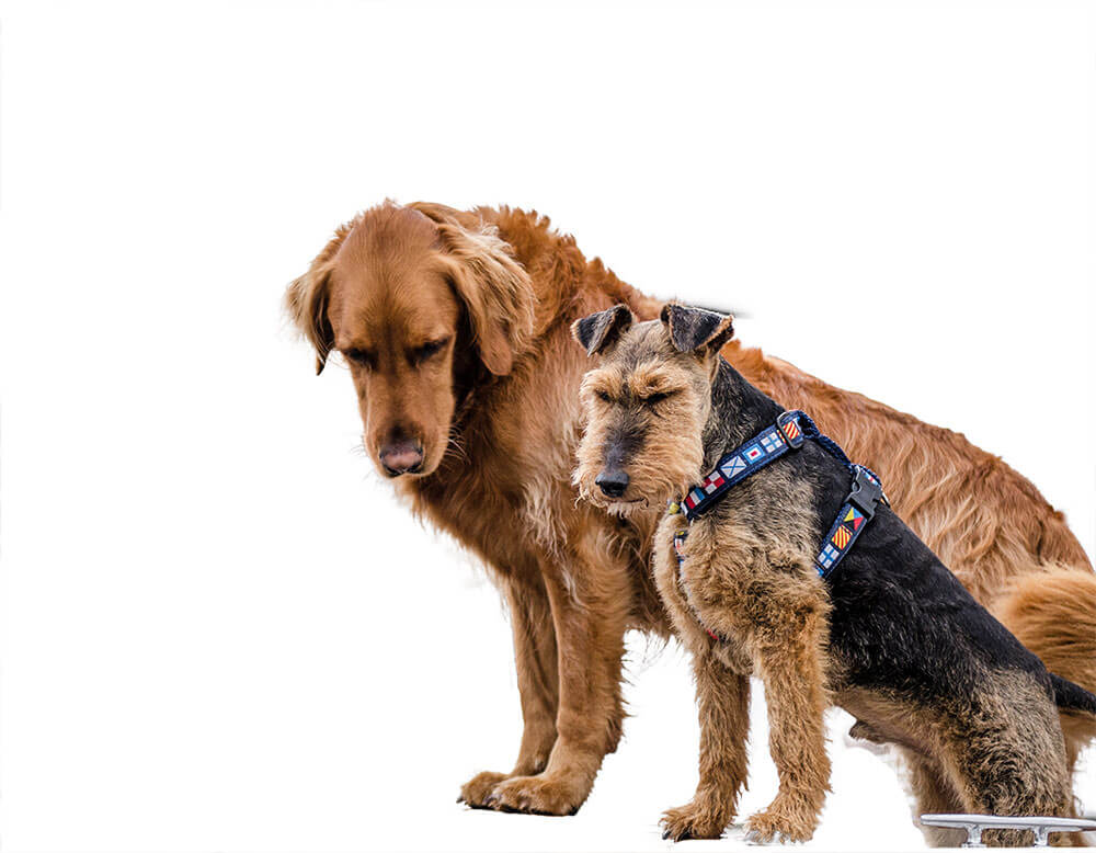 境界線を調整11