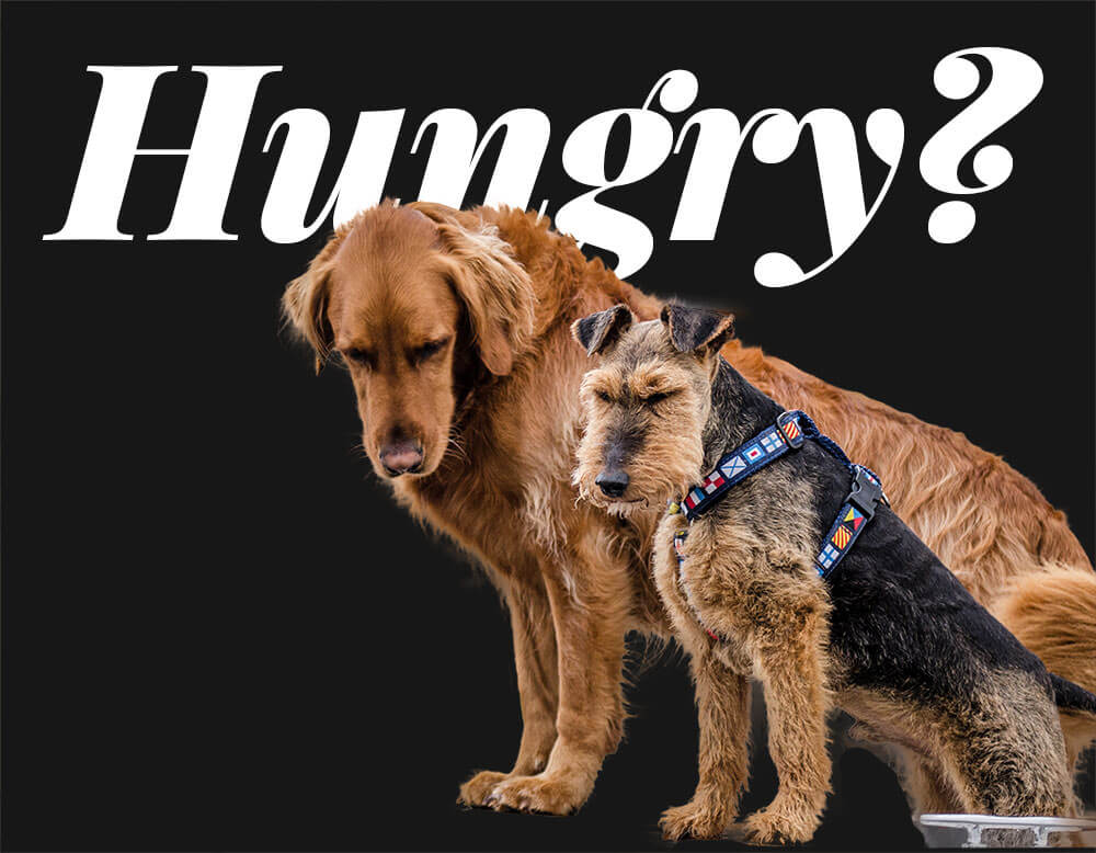 境界線を調整15