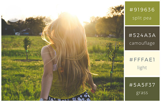 color-combo-75-1136x717 color-combo-75-1136x717