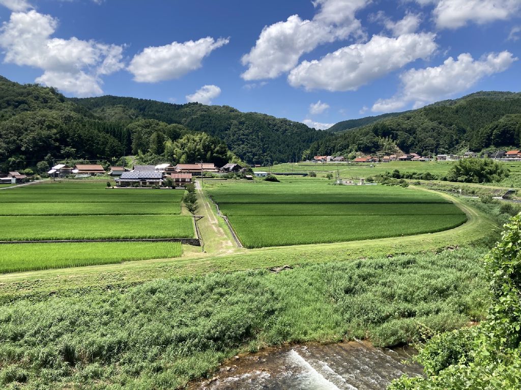 iPhoneSE2に乗り換えてから、写真写りが良くなった気がする。自動的にそれっぽくiPhoneがアレンジしているんだと思うけど