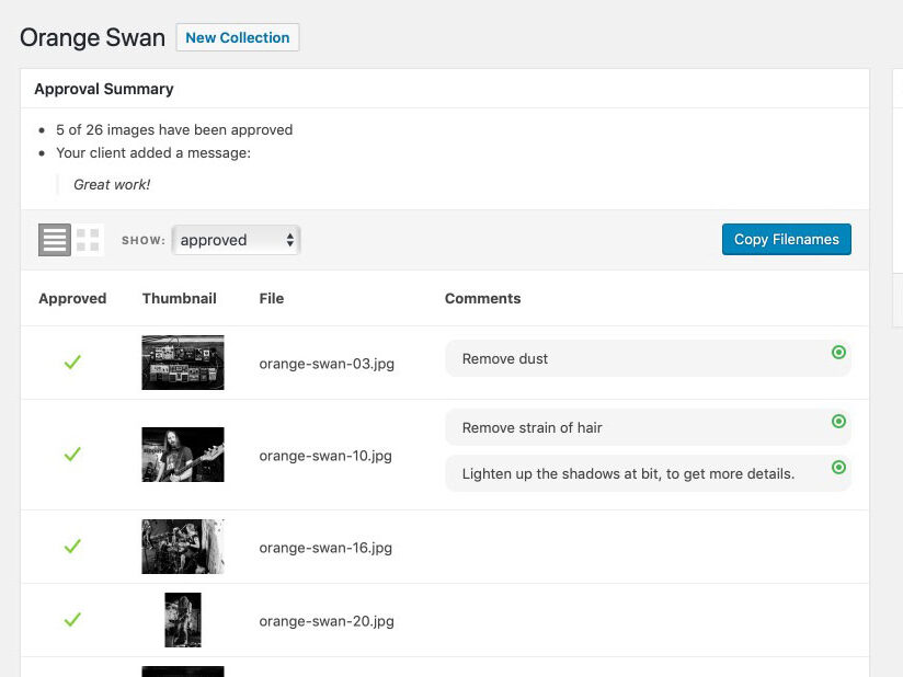 Photographer view of comments and markers in the WordPress Admin