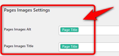 Posts Images Settingsで投稿ページのalt属性とtitle属性をそれぞれ設定。