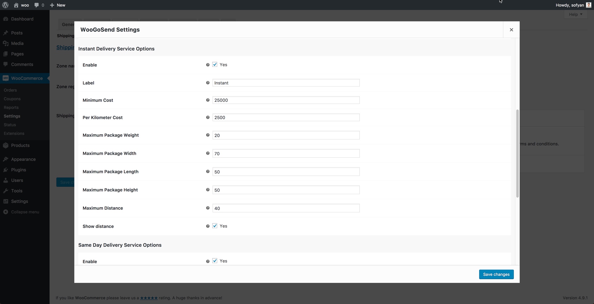 Settings panel: Instant Delivery Service Options