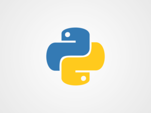 python beginner