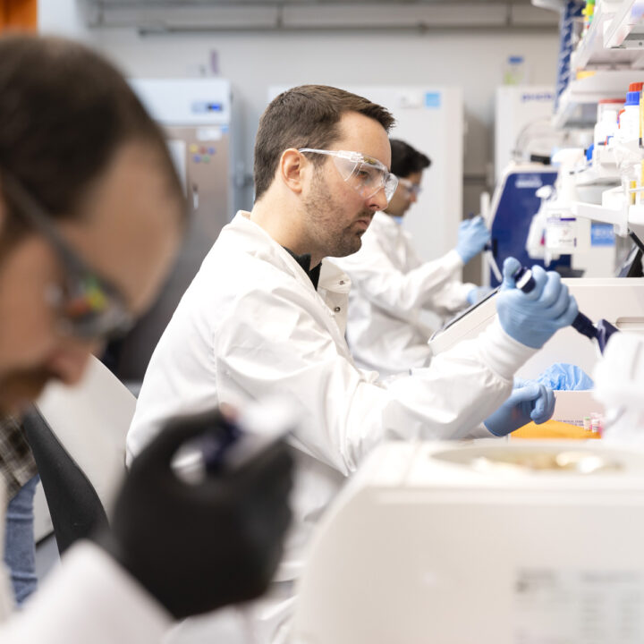 A row of scientists at work pipetting at the bench