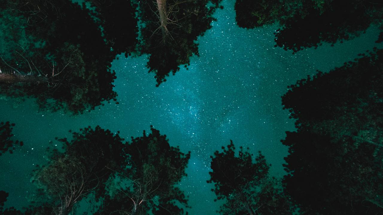 Imagine a NEW PLAN- Rubrica