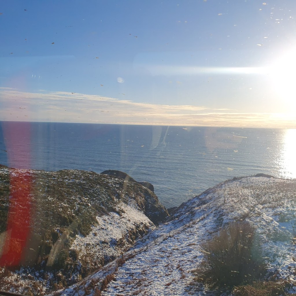 Snow, St Andrews, and foxes