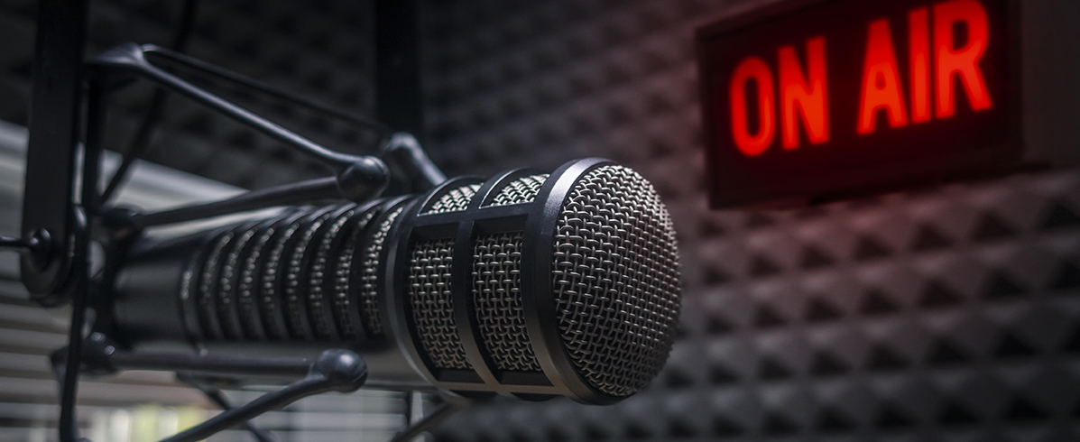 Professional microphone