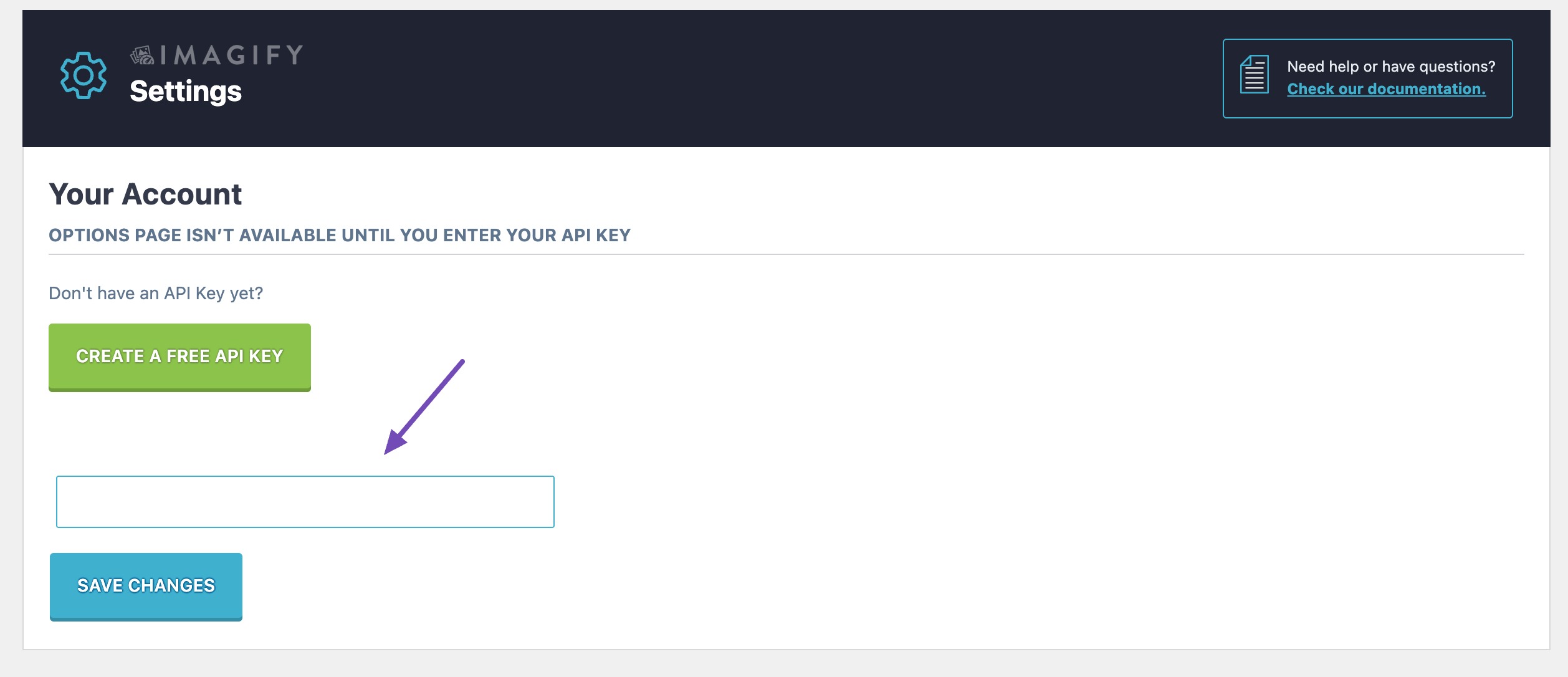 Enter your Imagify plugin account API Key