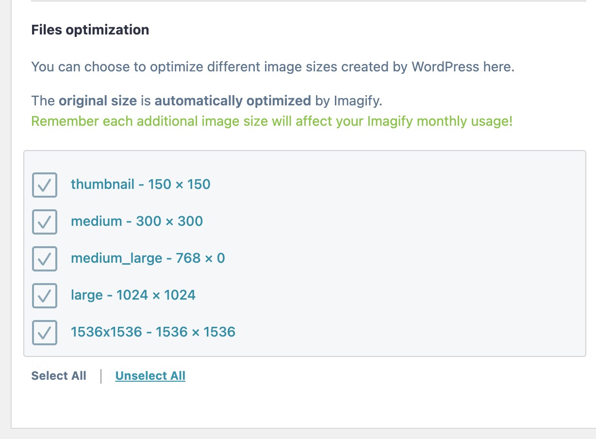 The files optimization option in Imagify plugin