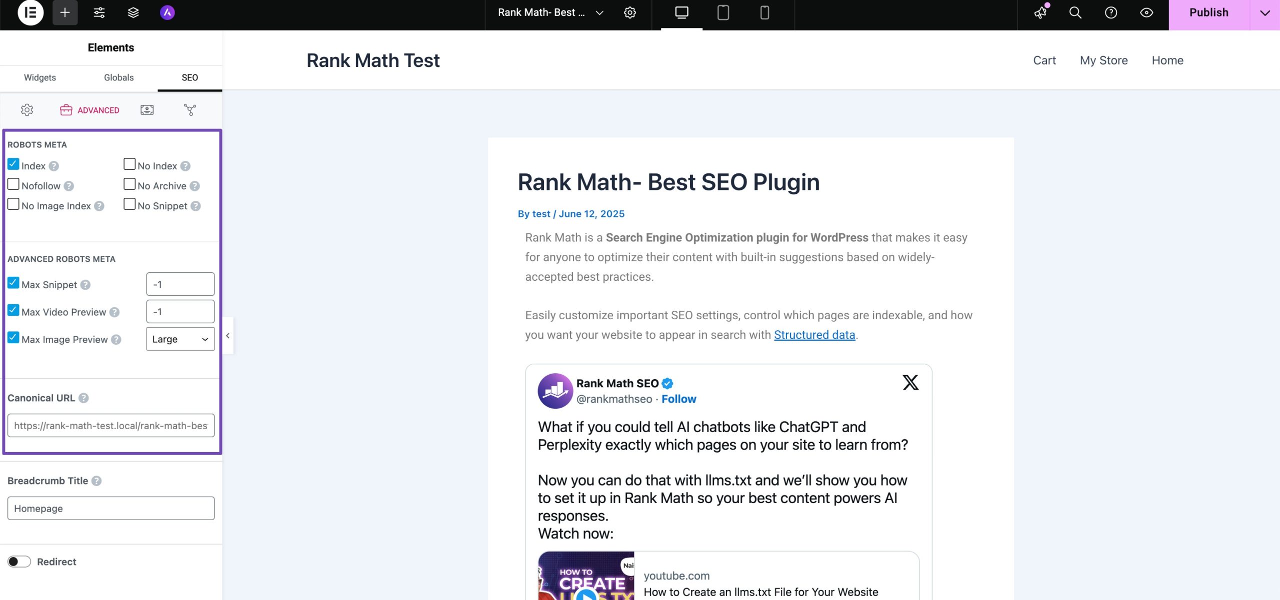 Elementor Advanced SEO Settings