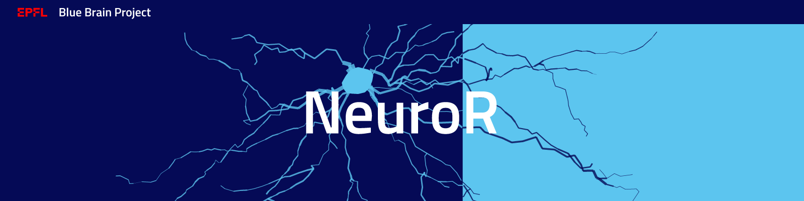NeuroR Banner