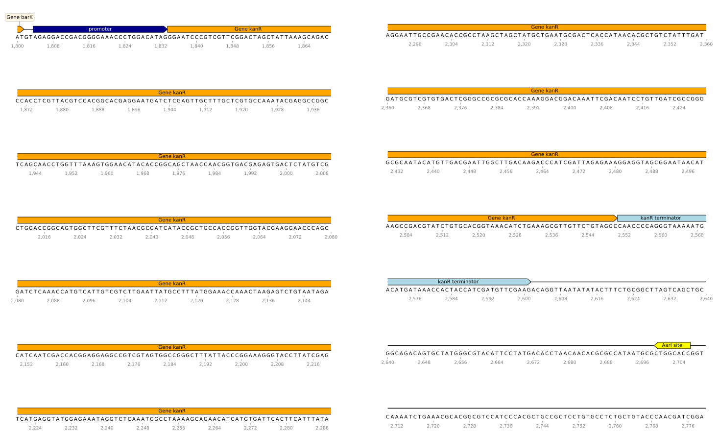DNA Features Viewer Logo DNA Features Viewer Logo