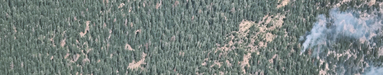 Spotting during the Rough Fire