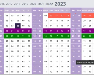 Customizable Full Year Scheduler For React Customizable Full Year Scheduler For React
