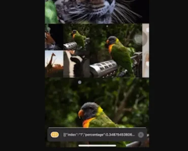 Unlock Scroll Viewport Awareness With react-native-visibility-aware-list Unlock Scroll Viewport Awareness With react-native-visibility-aware-list