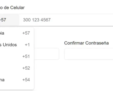 International Phone Input Component for React – Input Prefixes International Phone Input Component for React – Input Prefixes