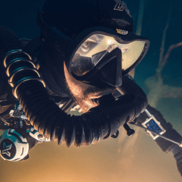 Branding studio. Idea. Logo. Identity.