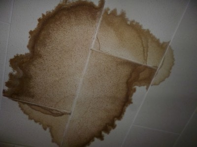 天井の雨染み(2)